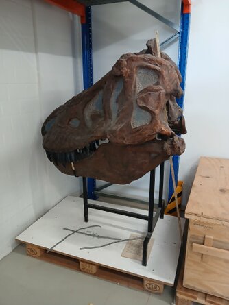 Tyrannosaurus Tyrannosaurus