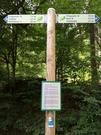 Die Napoleonseiche im Roßbachwald Die Napoleonseiche im Roßbachwald