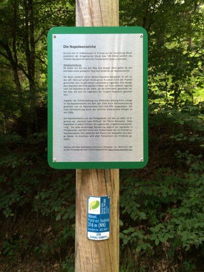 Die Napoleonseiche im Roßbachwald Die Napoleonseiche im Roßbachwald
