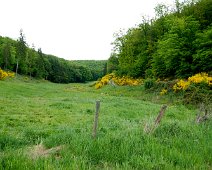 Frühling ©Lothar Brandt