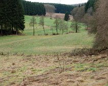 Frühling ©Lothar Brandt