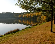 Frühling ©Lothar Brandt