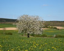 Frühling ©Lothar Brandt