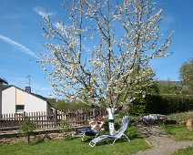 Frühling ©Lothar Brandt