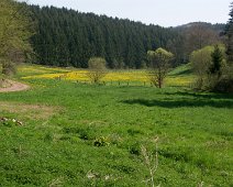 Frühling ©Lothar Brandt