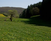 Frühling ©Lothar Brandt