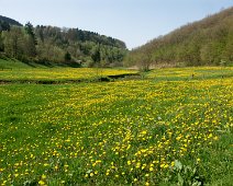 Frühling ©Lothar Brandt