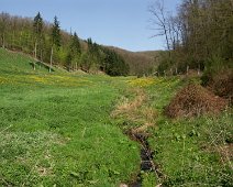 Frühling ©Lothar Brandt