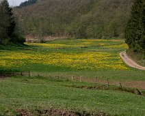 Frühling ©Lothar Brandt