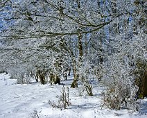 Winter ©Fritz Knob