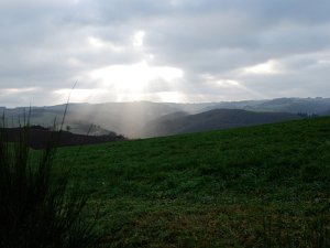 Frühling