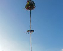 2019 Maibaum aufstellen ©Fritz Knob