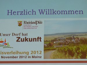 2012 Unsern Dorf hat Zukunft