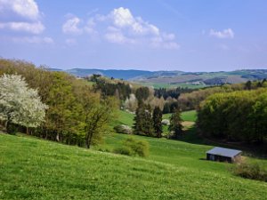 Frühling im Waxweiler Land